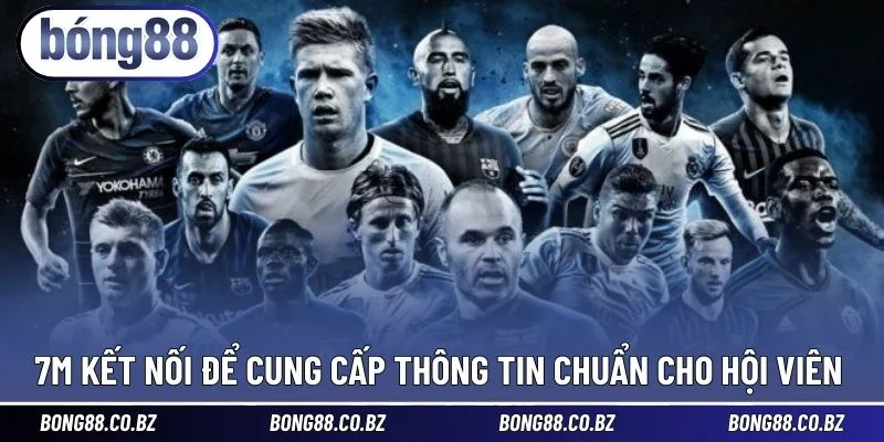 7m kết nối để cung cấp thông tin chuẩn cho hội viên