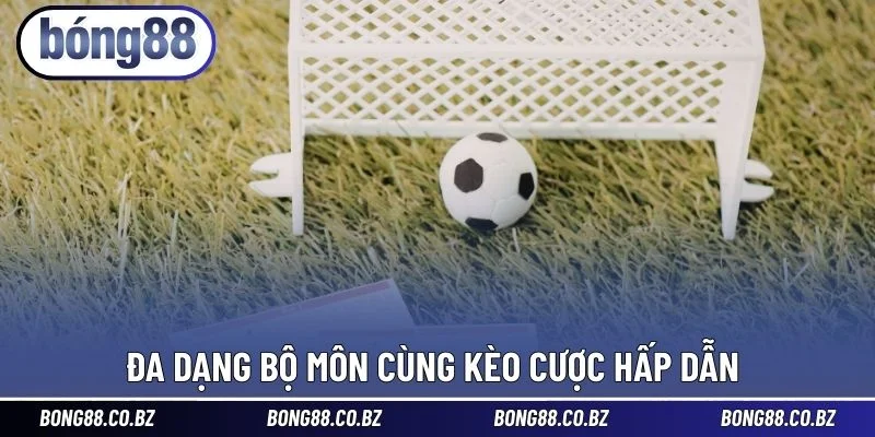 Đa dạng bộ môn với kèo chơi hấp dẫn