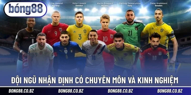 Đội ngũ nhận định có chuyên môn và kinh nghiệm 