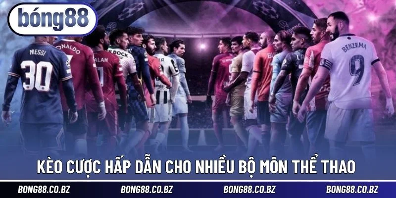 Kèo cược hấp dẫn cho nhiều bộ môn thể thao