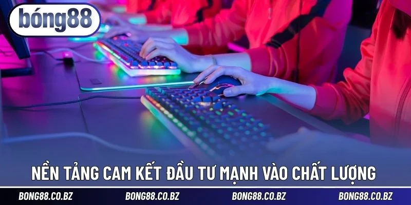 Nền tảng cam kết đầu tư mạnh vào chất lượng 