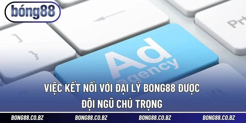 Việc kết nối với đại lý BONG88 được đội ngũ chú trọng 