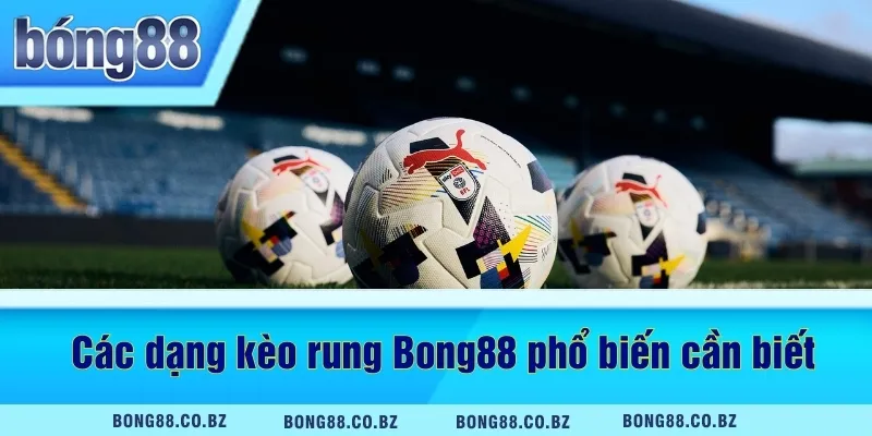 Các dạng kèo rung Bong88 phổ biến cần biết