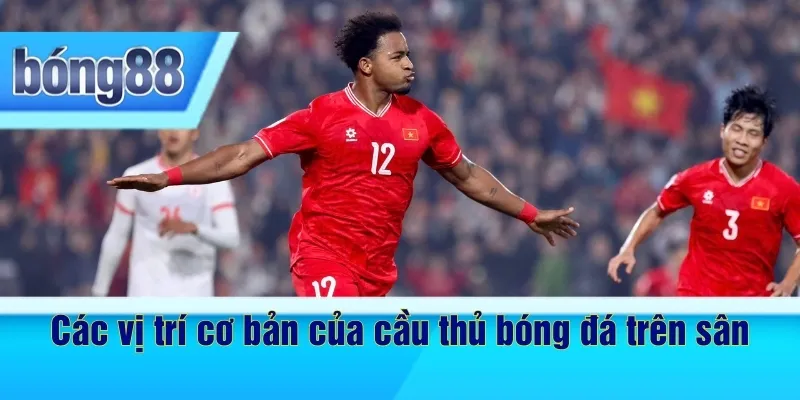 Các vị trí cơ bản của cầu thủ bóng đá trên sân