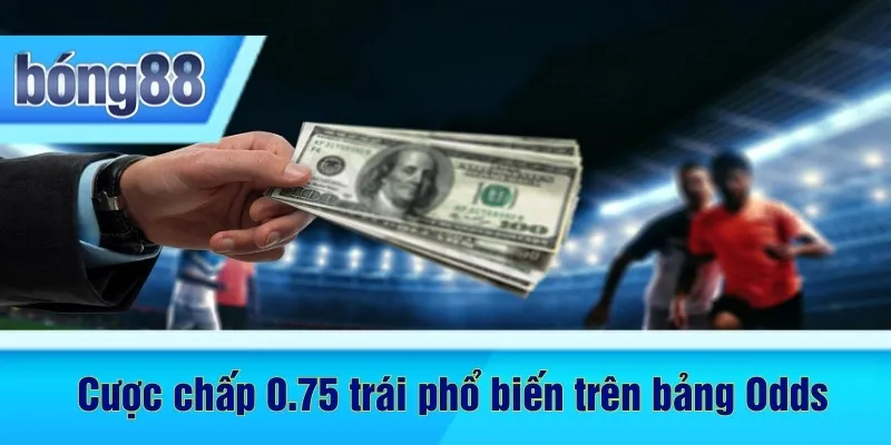 Cược chấp ¾ trái phổ biến trên bảng Odds