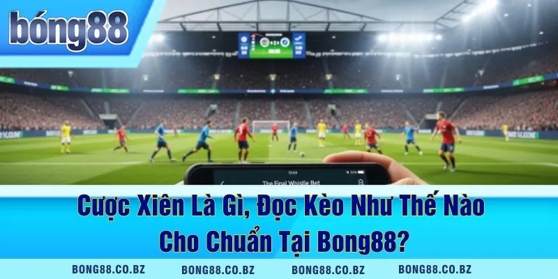 Cược Xiên Là Gì, Đọc Kèo Như Thế Nào Cho Chuẩn Tại Bong88?