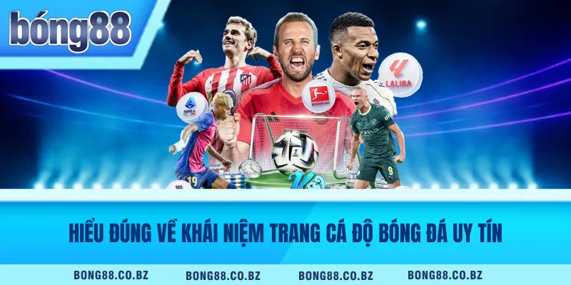 Hiểu đúng về khái niệm trang cá độ bóng đá uy tín