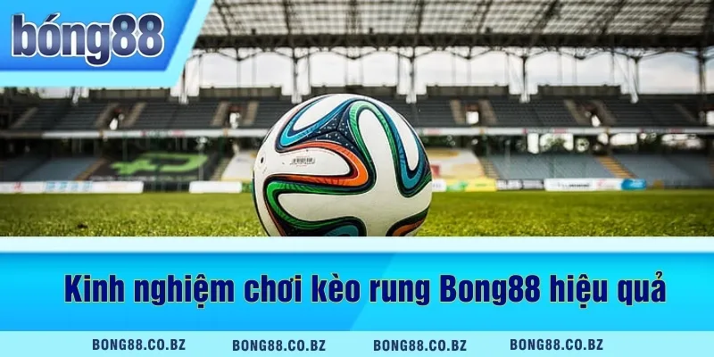 Kinh nghiệm chơi kèo rung Bong88 hiệu quả